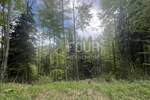 Zemljiste, Vrbovsko, prodaja, 25000 €, 18987 m2