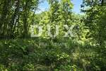 Zemljiste, Pazin, Lindar, prodaja, 150000 €, 6270 m2