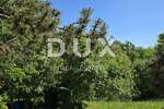 Zemljiste, Pazin, Lindar, prodaja, 150000 €, 6270 m2