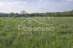 Zemljiste, Buzet, prodaja, 25500 €, 1016 m2