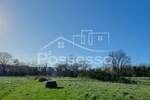 Zemljiste, Buzet, prodaja, 25500 €, 1016 m2