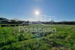 Zemljiste, Buzet, prodaja, 25500 €, 1016 m2