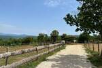 Zemljiste, Barban, prodaja, 675000 €, 13000 m2