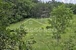 Zemljiste, Buzet, prodaja, 29000 €, 44277 m2