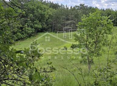 Zemljiste, Buzet, prodaja, 29000 €, 44277 m2