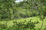 Zemljiste, Buzet, prodaja, 29000 €, 44277 m2