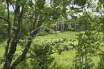 Zemljiste, Buzet, prodaja, 29000 €, 44277 m2