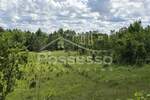Zemljiste, Buzet, prodaja, 29000 €, 44277 m2