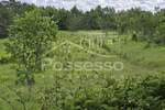 Zemljiste, Buzet, prodaja, 29000 €, 44277 m2