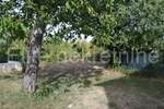 Kuca, Buje, prodaja, 320000 €, 450 m2
