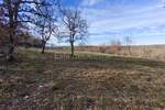 Zemljiste, Buje, prodaja, 264000 €, 1765 m2