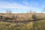 Zemljiste, Buje, prodaja, 264000 €, 1765 m2