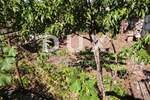 Dvosoban stan, Rijeka, Belveder, prodaja, 135000 €, 42 m2