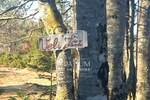 Zemljiste, Vinodol, Bribir, prodaja, 85000 €, 2930 m2