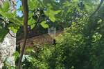 Kuca, Vodnjan, prodaja, 65500 €, 50 m2