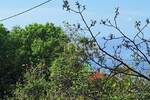 Kuca, Rijeka, Drenova, prodaja, 370000 €, 220 m2