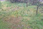 Kuca, Rijeka, Drenova, prodaja, 370000 €, 220 m2