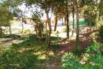 Kuca, Ližnjan, VALTURA, prodaja, 348000 €, 150 m2