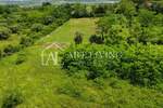 Zemljiste, Brtonigla, prodaja, 22400 €, 2200 m2