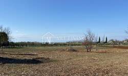Zemljiste, Brtonigla, prodaja, 31200 €, 3000 m2