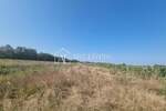 Zemljiste, Brtonigla, prodaja, 31200 €, 3000 m2