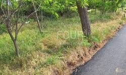 Zemljiste, Rab, Lopar, prodaja, 60000 €, 310 m2