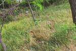 Zemljiste, Rab, Lopar, prodaja, 60000 €, 310 m2
