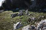 Zemljiste, Opatija, Ika, prodaja, 390000 €, 988 m2