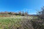 Zemljiste, Buzet, prodaja, 64904 €, 1708 m2