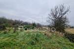 Zemljiste, Buzet, prodaja, 64904 €, 1708 m2