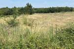 Zemljiste, Vodnjan, prodaja, 73000 €, 593 m2