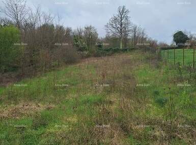 Zemljiste, Žminj, prodaja, 60000 €, 0 m2