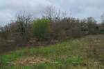 Zemljiste, Žminj, prodaja, 60000 €, 0 m2