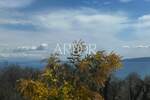 Kuca, Opatija, Poljane, prodaja, 1300000 €, 567 m2