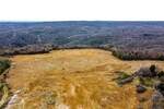 Zemljiste, Barban, prodaja, 3400000 €, 0 m2