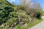 Zemljiste, Opatija, Poljane, prodaja, 100000 €, 429 m2