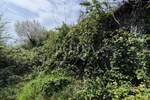 Zemljiste, Opatija, Poljane, prodaja, 100000 €, 429 m2