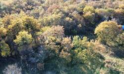 Zemljiste, Brtonigla, prodaja, 70000 €, 7000 m2