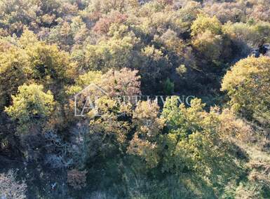 Zemljiste, Brtonigla, prodaja, 70000 €, 7000 m2