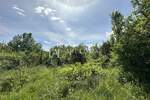 Zemljiste, Brtonigla, prodaja, 70000 €, 7000 m2