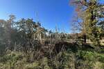 Zemljiste, Brtonigla, prodaja, 70000 €, 7000 m2