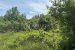 Zemljiste, Brtonigla, prodaja, 70000 €, 7000 m2
