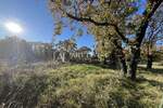 Zemljiste, Brtonigla, prodaja, 70000 €, 7000 m2