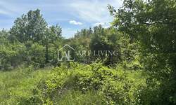 Zemljiste, Brtonigla, prodaja, 118000 €, 11800 m2