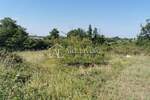 Zemljiste, Brtonigla, prodaja, 118000 €, 11800 m2