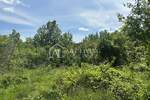 Zemljiste, Brtonigla, prodaja, 118000 €, 11800 m2
