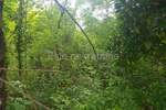 Zemljiste, Matulji, Veli Brgud, prodaja, 75000 €, 1620 m2