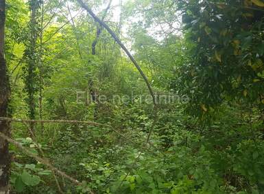 Zemljiste, Matulji, Veli Brgud, prodaja, 75000 €, 1620 m2