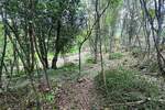 Zemljiste, Matulji, Veli Brgud, prodaja, 75000 €, 1620 m2