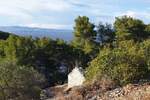 Zemljiste, Korčula, prodaja, 100000 €, 0 m2